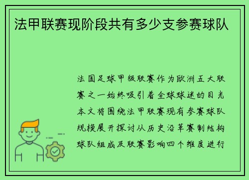 法甲联赛现阶段共有多少支参赛球队
