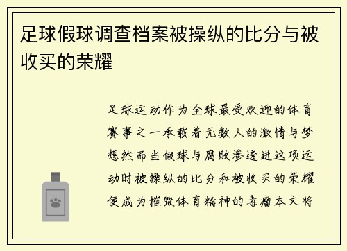 足球假球调查档案被操纵的比分与被收买的荣耀